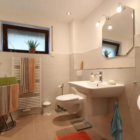 Meeresgruss Seeschwalbe