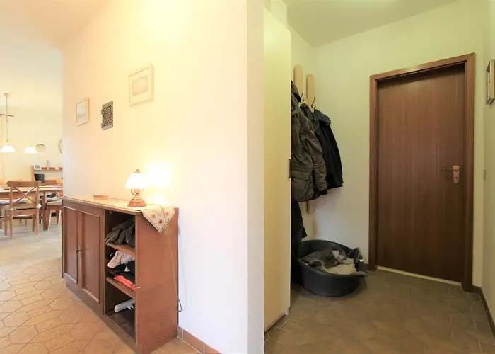 Meeresgruss Seeschwalbe Kellenhusen